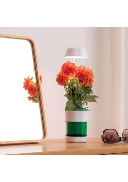 çınar ticaret hızlı bitki yetiştirme saksısı