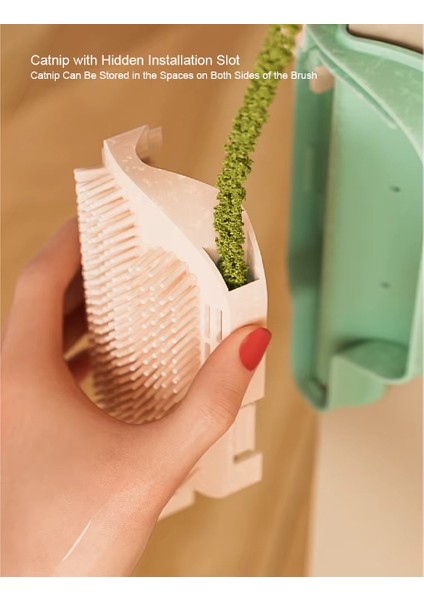 çınar ticaret kedi otu hazneli kedi kaşınma aparatı fiyatları