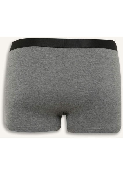 Regular Fit 3'lü Boxer