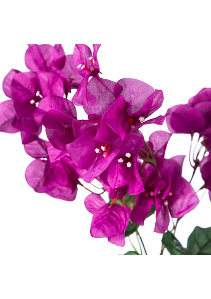 Begonvil Pembe Dal Çiçek 74CM modelleri