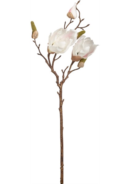 Manolya Çiçeği Beyaz 51CM modelleri