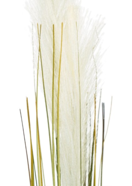 SINGLE GRASS BEJ DAL ÇİÇEK - 92CM fiyatları