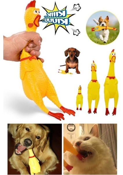 çınar ticaret ses çıkaran tavuk kedi köpek oyuncağı 38 cm.
