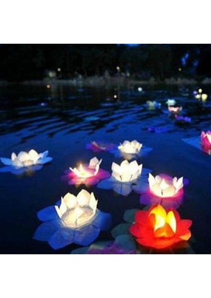 çınar ticaret nilüfer su feneri