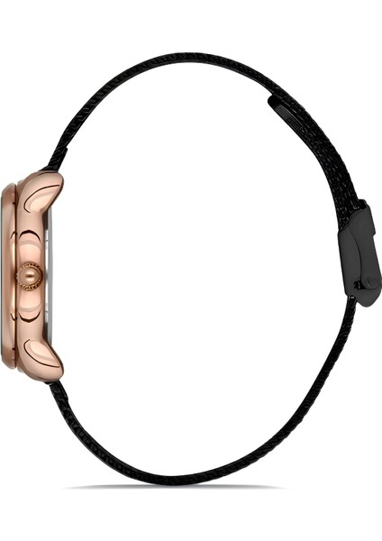 Ferro Siyah Çelik Hasır Kordon Kadın Kol Saati Su Geçirmez TH-FL21242C-C modelleri