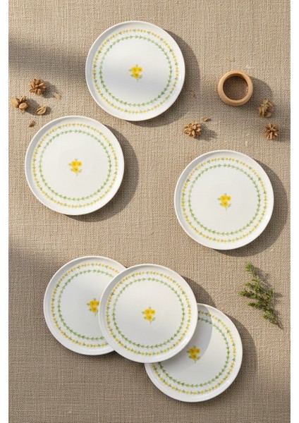 Mimoza 6 Parça Pasta Takımı