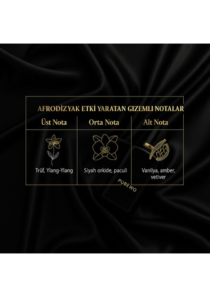 Noirphoria Edp 50 ml Afrodizyak Etkili Parfüm – Cazibenin Formülü fırsatları
