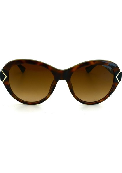 0258 C1 Güneş Gözlüğü modelleri