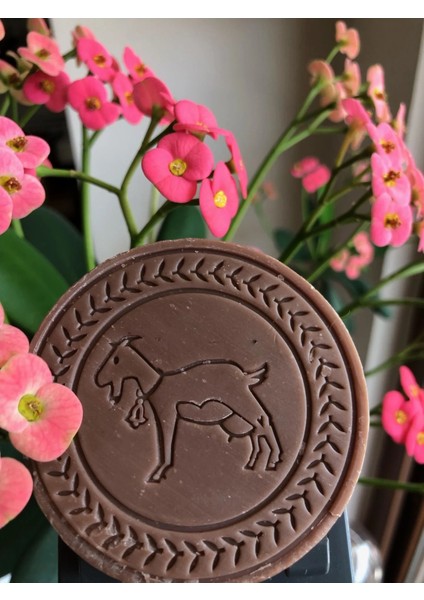 10 ADET Keçi Sütlü Vanilya Sabunu (Saf Zeytinyağlı & %100 Doğal)