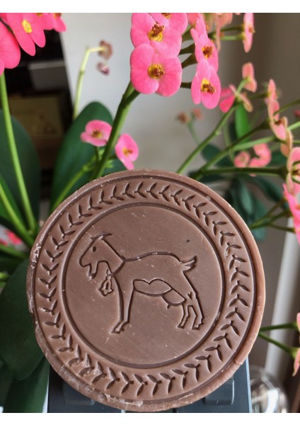 10 ADET Keçi Sütlü Vanilya Sabunu (Saf Zeytinyağlı & %100 Doğal) fiyatları