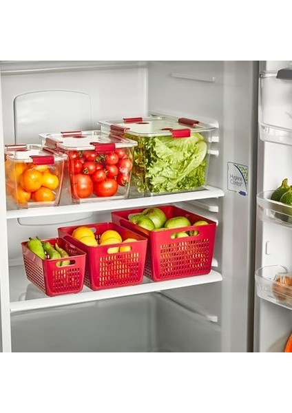 3'lü 2 Lt Lavin Süzgeç Bordo modelleri