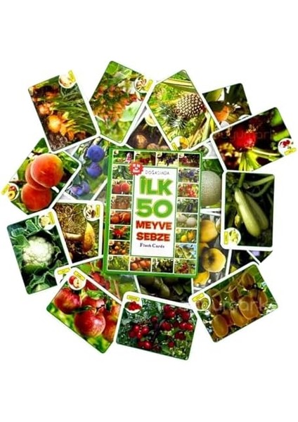 Oyuncak Minik Bebeğimin Ilk 50 Hafıza Kartları ve Ilk 50 Hayvanlar Kartları Kart 2'li Set fiyatları
