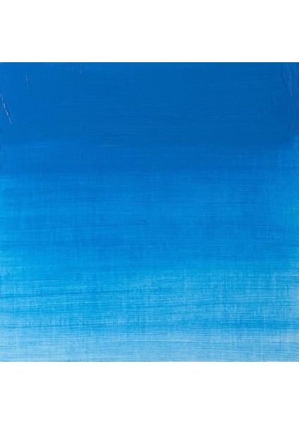 Newton Winton Yağlı Boya 200ML - N:10 Cerul