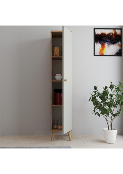 Tek Kapaklı Çok Amaçlı Dolap modelleri