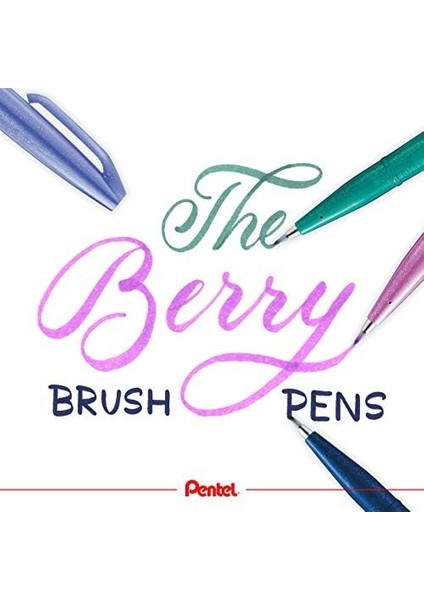 Sing Pen Brush - 4'lü Blister (CAX-V2X-P2X-D3X)