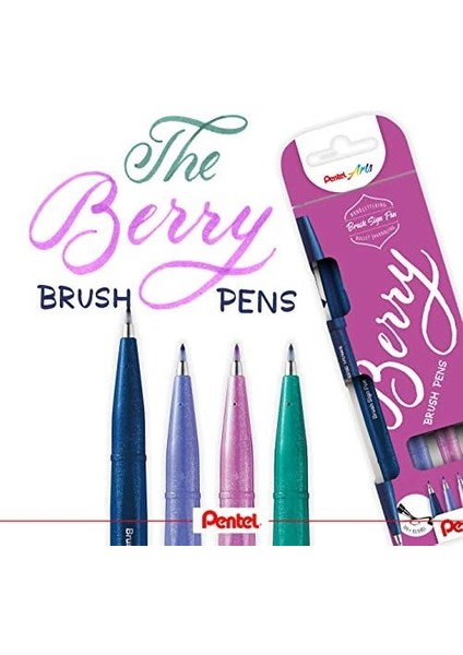 Sing Pen Brush - 4'lü Blister (CAX-V2X-P2X-D3X) fiyatları