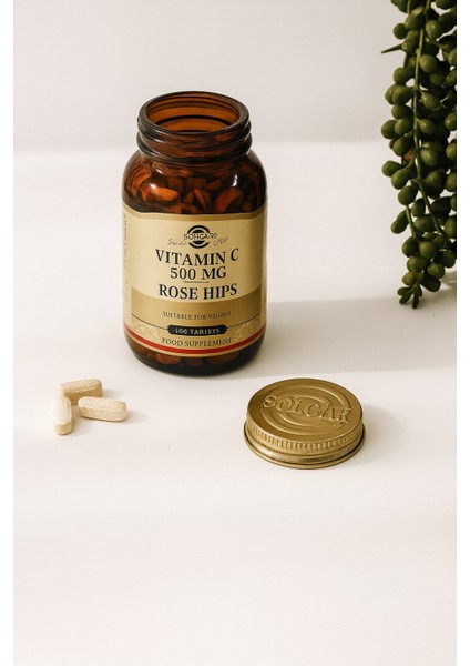 Vitamin C 500 Mg With Rose Hips 100 Tablet indirimleri
