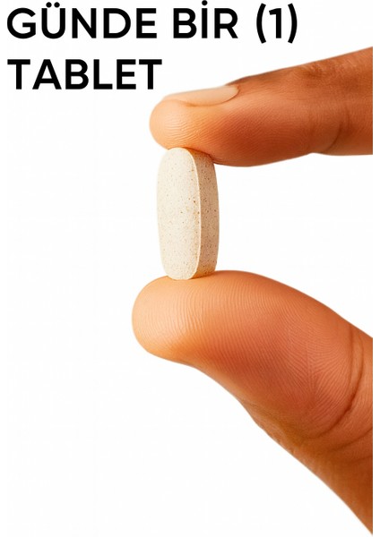 Vitamin C 500 Mg With Rose Hips 100 Tablet