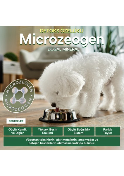 Nature's Protection Superior Care Beyaz Tüylü Köpekler Için Tahılsız Somonlu Tüm Irklar Yavru Başlangıç Köpek Maması 10KG fırsatları