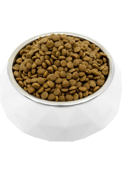 Nature's Protection Superior Care Beyaz Tüylü Köpekler Için Tahılsız Somonlu Tüm Irklar Yavru Başlangıç Köpek Maması 10KG