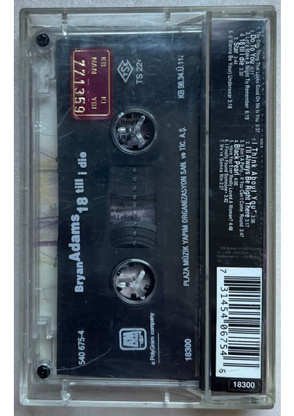 Bryan Adams 18 Till I Die Kaset (Orijinal Dönem Baskı Kaset) fiyatları