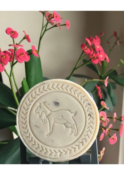 3 ADET Keçi Sütlü Defne Sabunu (Saf Zeytinyağlı & %100 Doğal)