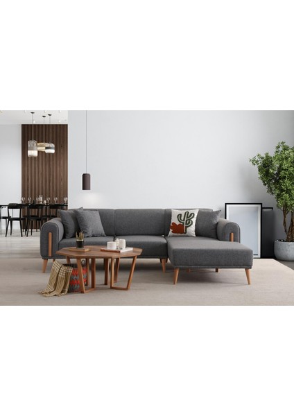 Leon Sağ Köşe Gri