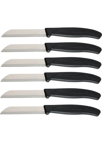 Mira 6 Parça Dişli Meyve Bıçak Seti Siyah fırsatları