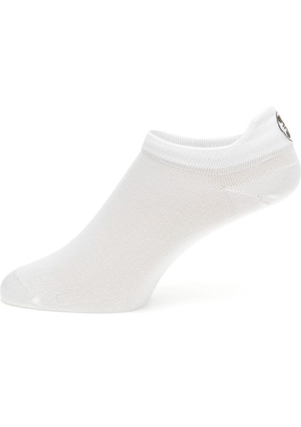 Kadın Ekru Çorap 50317757-VR019 fiyatları