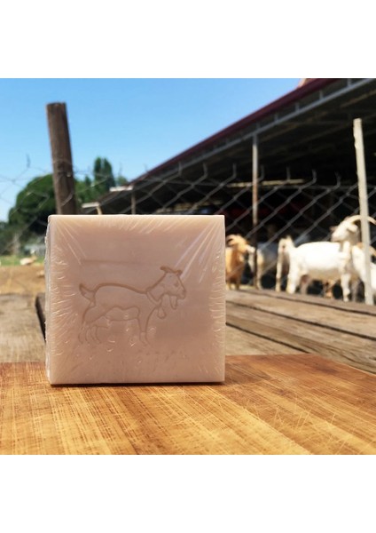 3 ADET Keçi Sütü Sabunu (Saf Zeytinyağlı & %100 Doğal)