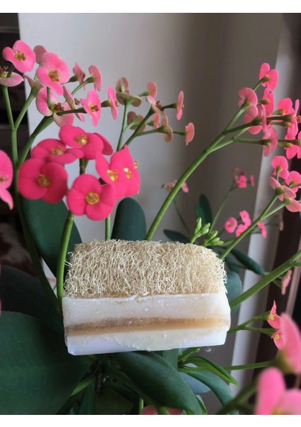 3 ADET Kabak Lifli Keçi Sütlü Sabun (Saf Zeytinyağlı & %100 Doğal)