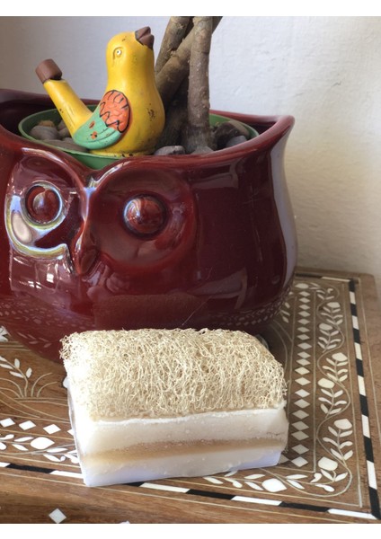 3 ADET Kabak Lifli Keçi Sütlü Sabun (Saf Zeytinyağlı & %100 Doğal) fiyatları