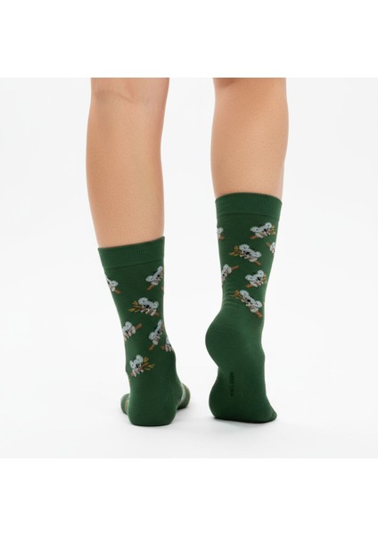 Koala Socks – Desenli Unisex Soket Çorap