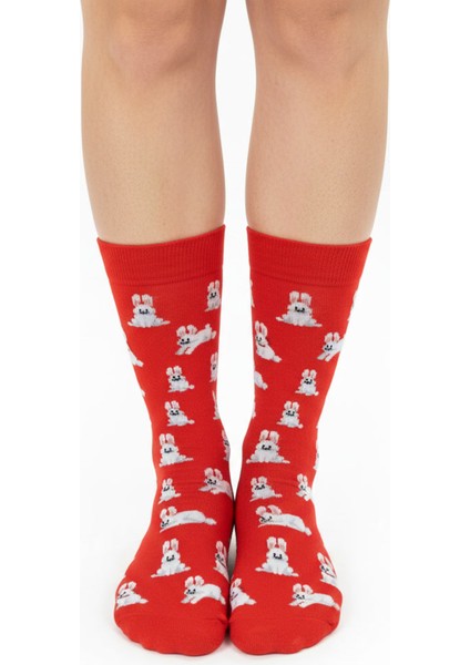 Rabbit Socks – Desenli Unisex Soket Çorap