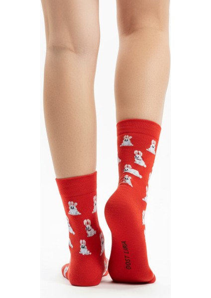Rabbit Socks – Desenli Unisex Soket Çorap