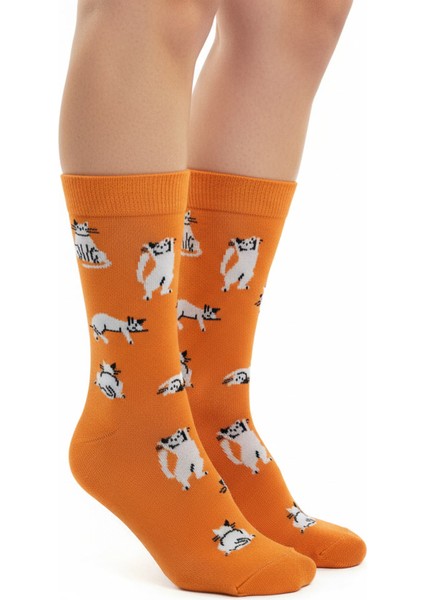 Silver Cat Socks – Desenli Unisex Soket Çorap