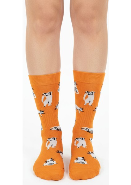 Silver Cat Socks – Desenli Unisex Soket Çorap