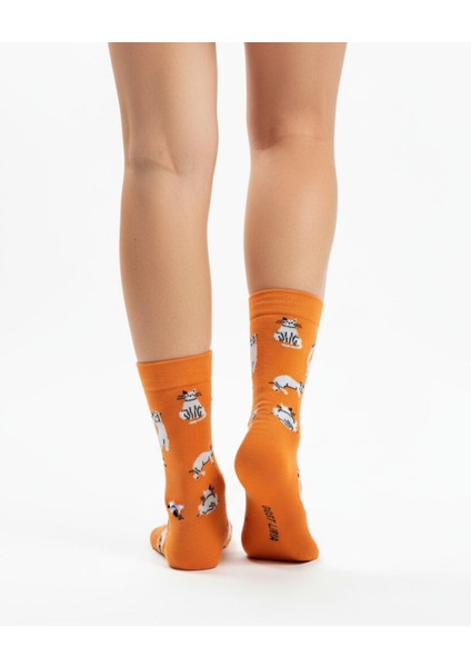 Silver Cat Socks – Desenli Unisex Soket Çorap