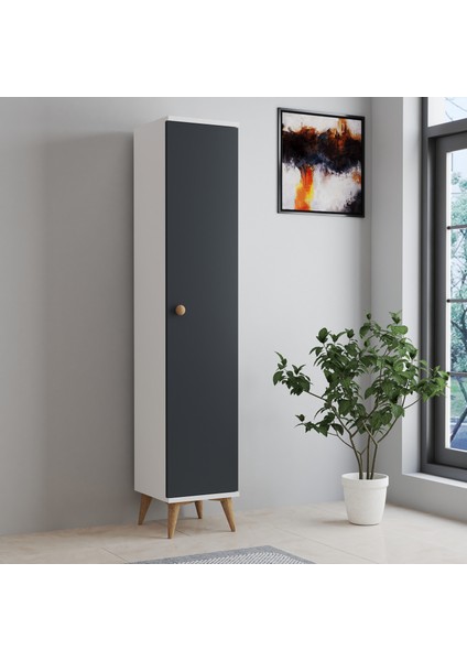 Tek Kapaklı Çok Amaçlı Dolap