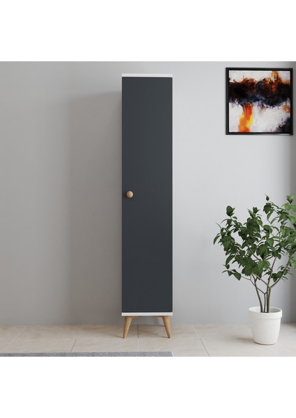 Tek Kapaklı Çok Amaçlı Dolap fiyatları