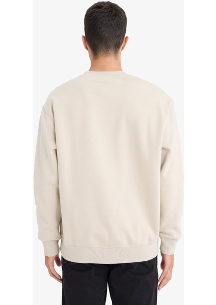 Relax Fit Bisiklet Yaka Kalın İçi Yumuşak Tüylü Basic Düz Sweatshirt T5139AZ25AU