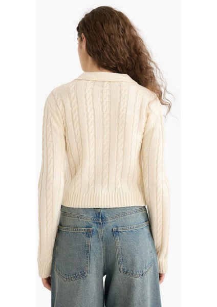 Regular Fit Polo Yaka Fermuarlı Triko Hırka A3331AX25WN