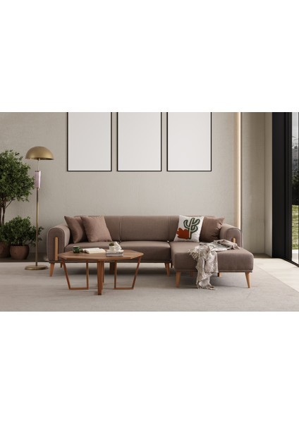 Leon Sağ Köşe Kahverengi