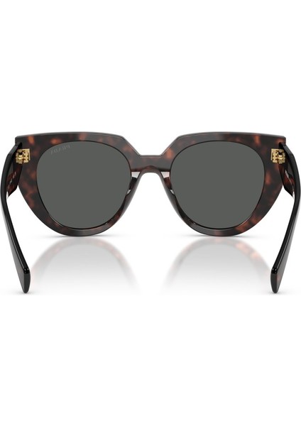 Güneş Gözlüğü Pr 14WS 52 17N40L