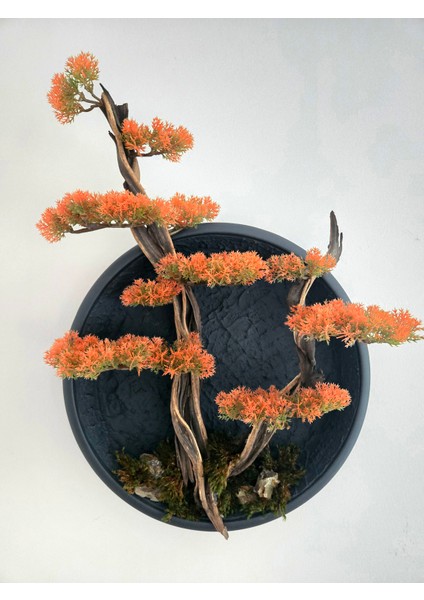 El Yapımı Driftwood Bonsai – Turuncu Yapay Yapraklar ve Gerçek Ağaç Gövdeli Duvar Dekoru