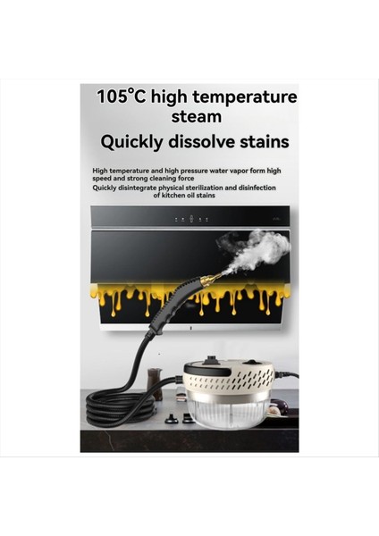 Taşınabilir Buhar Temizleyici 15 Saniyede Buhar Üretir Sızıntı Koruması Kuru Yanmaya Karşı El Tipi Buhar Temizleyici Ab Fişi C (Yurt Dışından) fiyatları