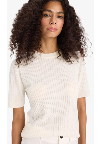 Regular Fit Bisiklet Yaka Kısa Kollu Triko Kazak D3306AX25AU