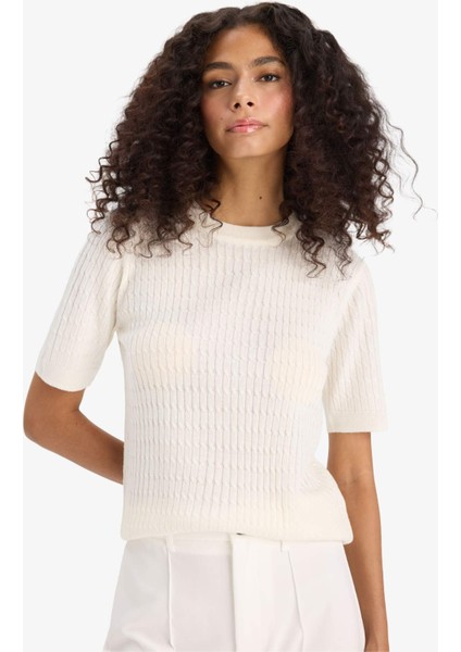 Regular Fit Bisiklet Yaka Kısa Kollu Triko Kazak D3306AX25AU