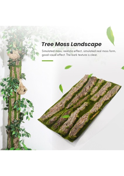 Yapay Kabuk Dekorasyonu Gerçek Kurutulmuş Çam Ağacı Kabuğu Dıy Festivali Için Yapay Yosun ile Ev Parti Duvar Süslemesi (Yurt Dışından) modelleri