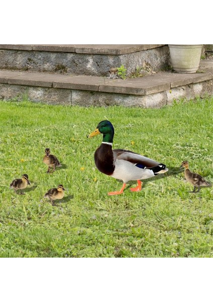 Bahçe Dekorasyonu Akrilik Ördek Bahçesi Komik Bahar Dekorasyonu Açık Ördek Süslemesi Hayvan Bahçesi Dekorasyonları (Yurt Dışından) modelleri